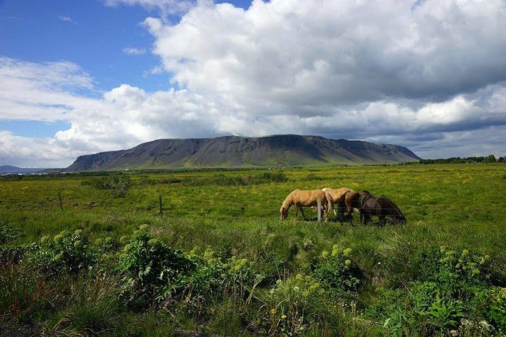Gesthus Selfoss Otel Dış mekan fotoğraf