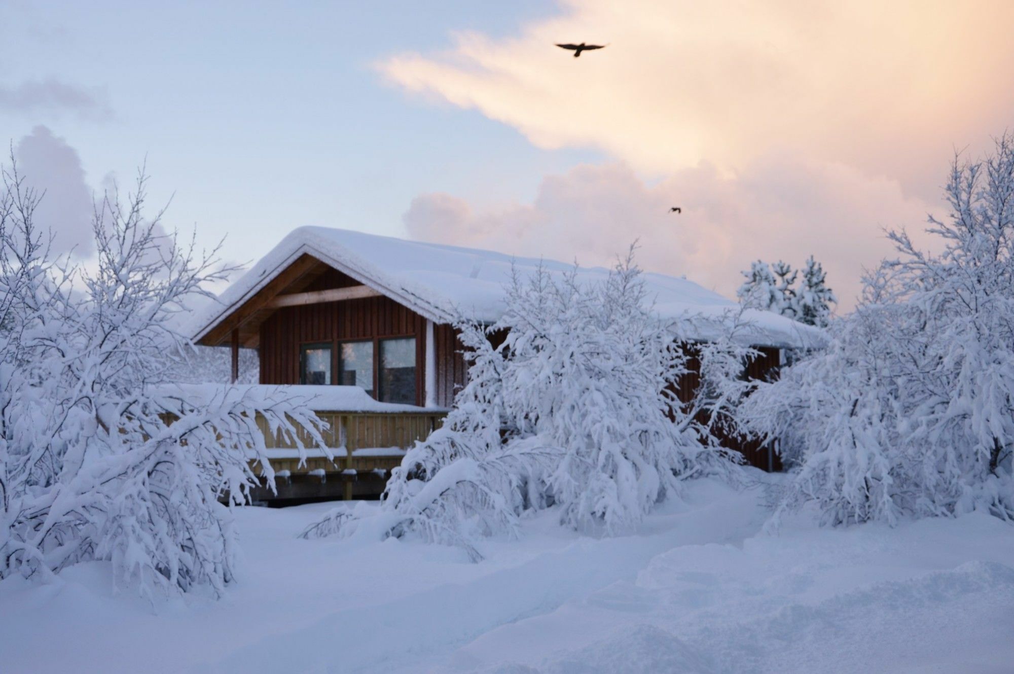 Gesthus Selfoss Otel Dış mekan fotoğraf
